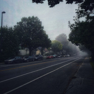 张柏芝露B毛高清图
